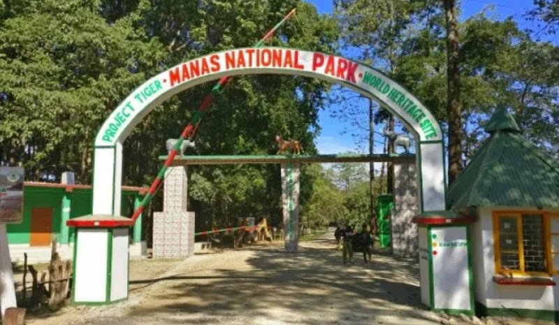 Manas National Park
